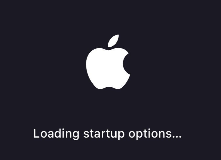 05-silicon-bigsur_monterey.png