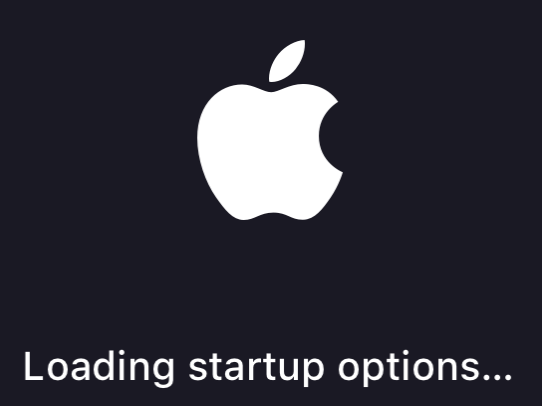 05-silicon-ventura.png